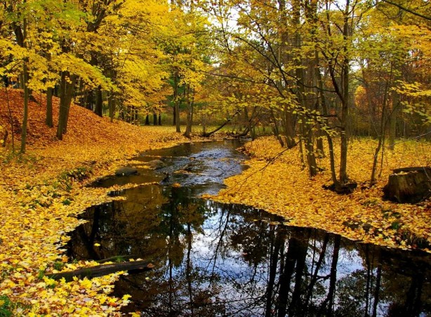 Foto - Dikkat! Hepsinin nedeni sonbahar mı?