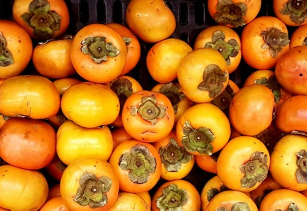 Foto - Dikkat! Trabzon hurması midesinde kist yaptı!