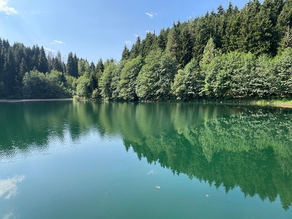 Foto - Dikkatli bakın! Siz ne görüyorsunuz? 