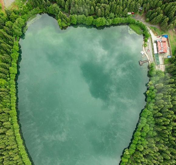 Dikkatli bakın! Siz ne görüyorsunuz? 