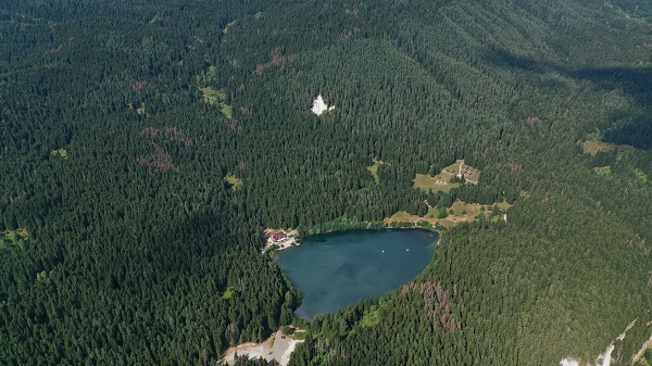 Foto - Dikkatli bakın! Siz ne görüyorsunuz? 