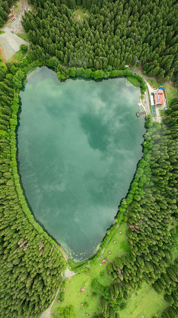 Foto - Dikkatli bakın! Siz ne görüyorsunuz? 