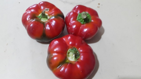 Foto - Dikkatli bakın! Sizce bunlar domates mi? 