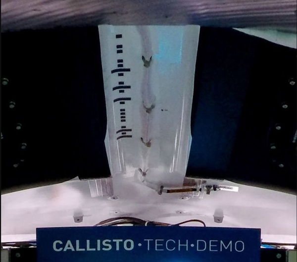 Foto - Dikkatli bakınca bulmacayı çözebilecek misiniz? Gizlenmiş kodlar ve mesajlar deşifre oldu