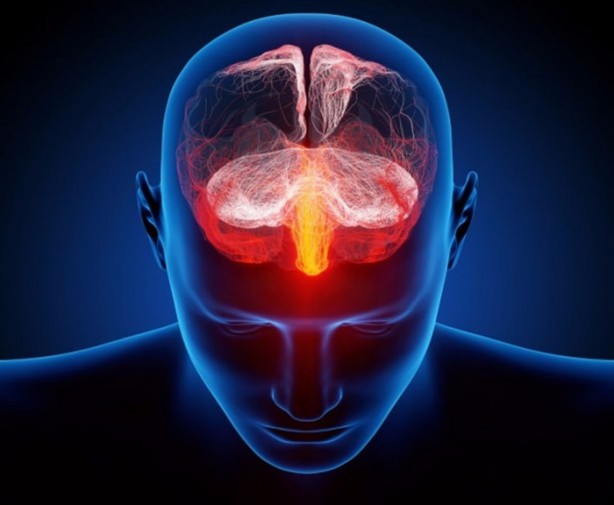 Foto - Dilimizin ucuna gelen kelimeleri neden hatırlayamayız?