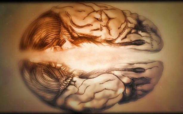 Foto - Dilimizin ucuna gelen kelimeleri neden hatırlayamayız?