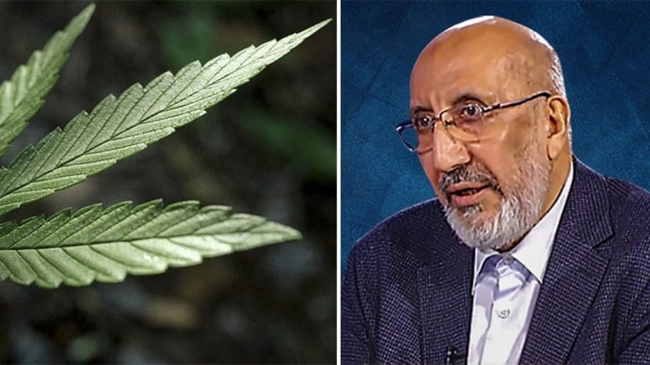 Foto - Dilipak noktayı koydu: Kenevir Allah’In İkramı mı, Belası mı? 