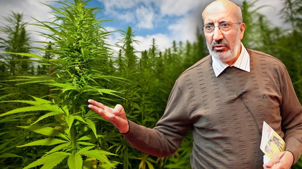 Foto - Dilipak noktayı koydu: Kenevir Allah’In İkramı mı, Belası mı? 