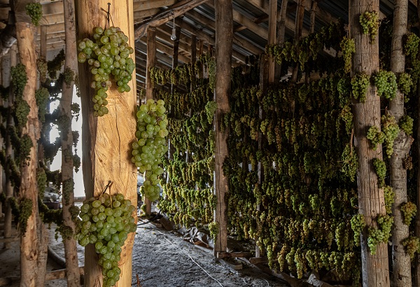 Foto - Dillere destan pekmezin zorlu yolculuğu