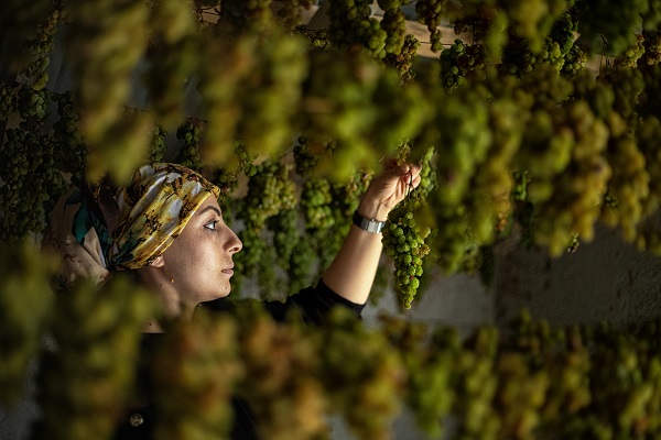 Foto - Dillere destan pekmezin zorlu yolculuğu