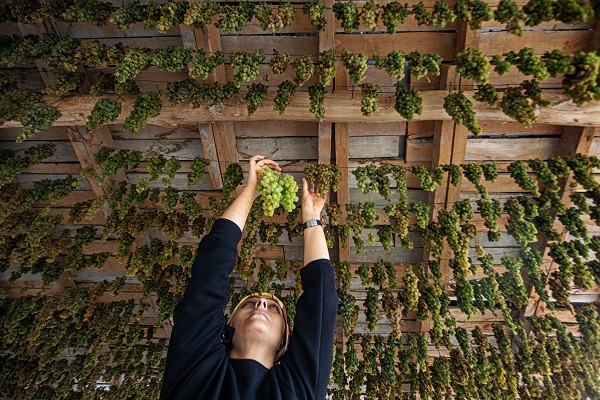 Foto - Dillere destan pekmezin zorlu yolculuğu