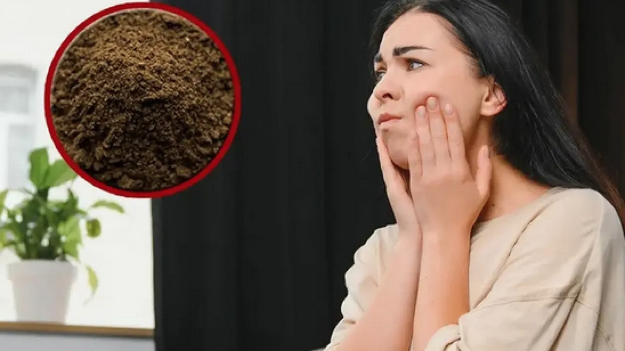 Foto - Diş ağrısının adeta ilacı! Doğal yöntem: Sorunun çözümü bu baharat...