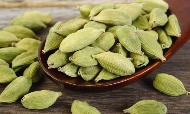 Foto - Diş çürüklerini durduran 10 bitki