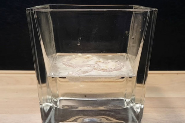 Foto - Diş macunu midede bakın ne hale geliyor