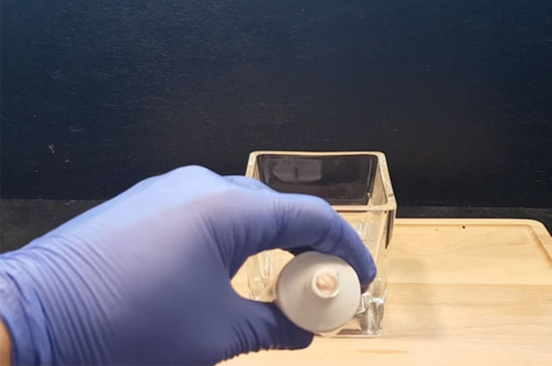 Foto - Diş macunu midede bakın ne hale geliyor