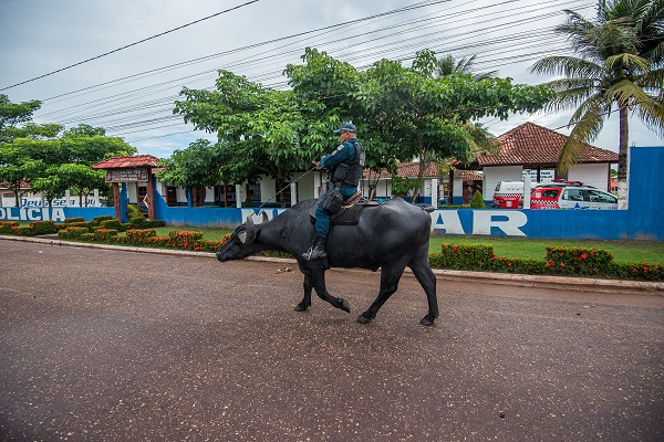 Foto - Dışarıdan gelenler şaşırıp kalıyor! Bu ülkede polisler at değil o hayvanla güvenliği sağlıyor