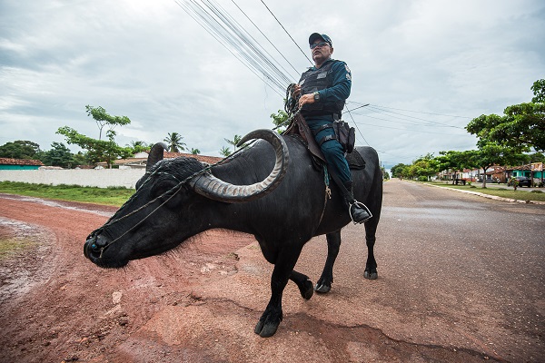 Foto - Dışarıdan gelenler şaşırıp kalıyor! Bu ülkede polisler at değil o hayvanla güvenliği sağlıyor