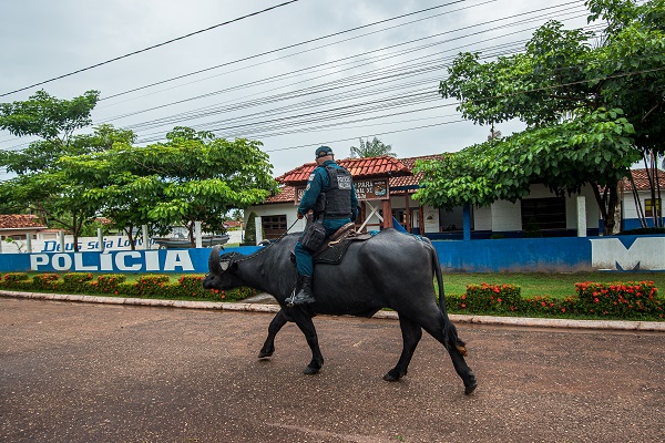 Foto - Dışarıdan gelenler şaşırıp kalıyor! Bu ülkede polisler at değil o hayvanla güvenliği sağlıyor