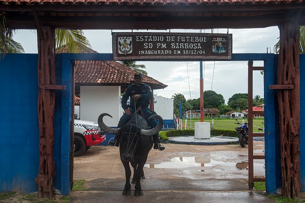 Foto - Dışarıdan gelenler şaşırıp kalıyor! Bu ülkede polisler at değil o hayvanla güvenliği sağlıyor