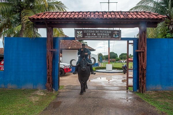 Foto - Dışarıdan gelenler şaşırıp kalıyor! Bu ülkede polisler at değil o hayvanla güvenliği sağlıyor