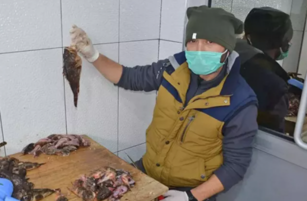 Foto - Dışı zehirli ama kilosu 300 lira! Kapış kapış gidiyor