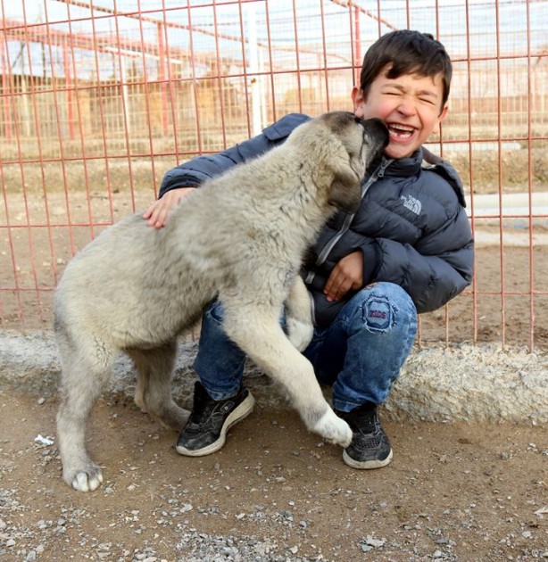 Foto - Dişisine 'zarif' erkeğine 'heybetli' diyorlar