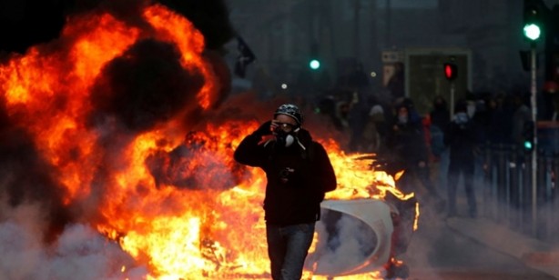 Foto - Dişisine 'zarif' erkeğine 'heybetli' diyorlar