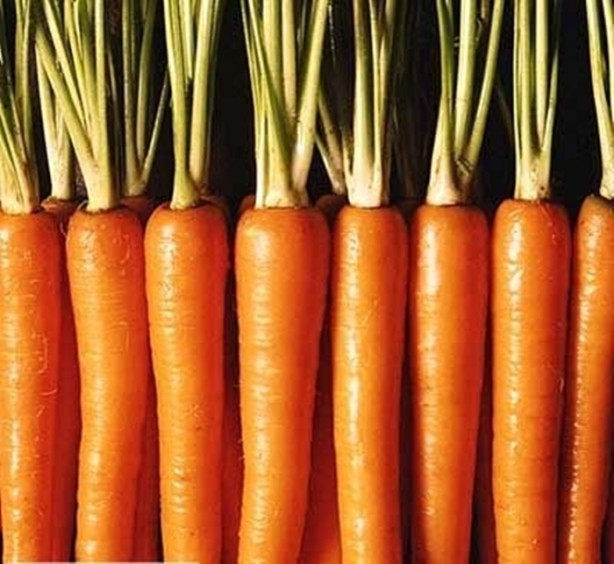 Foto - Dişlerinizi alüminyum folyo ile kaplarsanız ne olur?