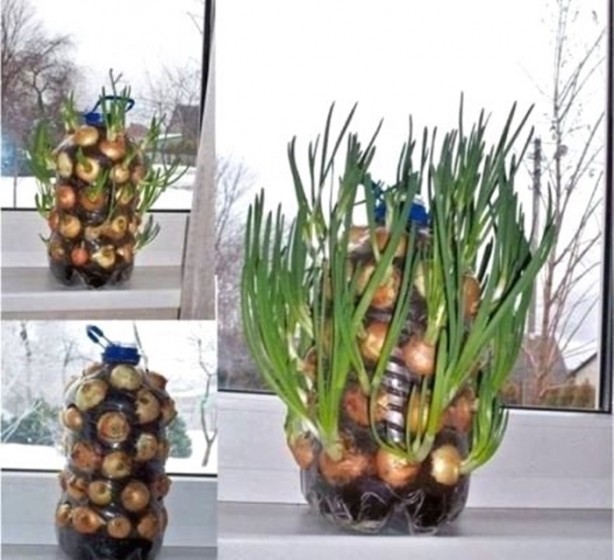 Foto - Dişlerinizi alüminyum folyo ile kaplarsanız ne olur?