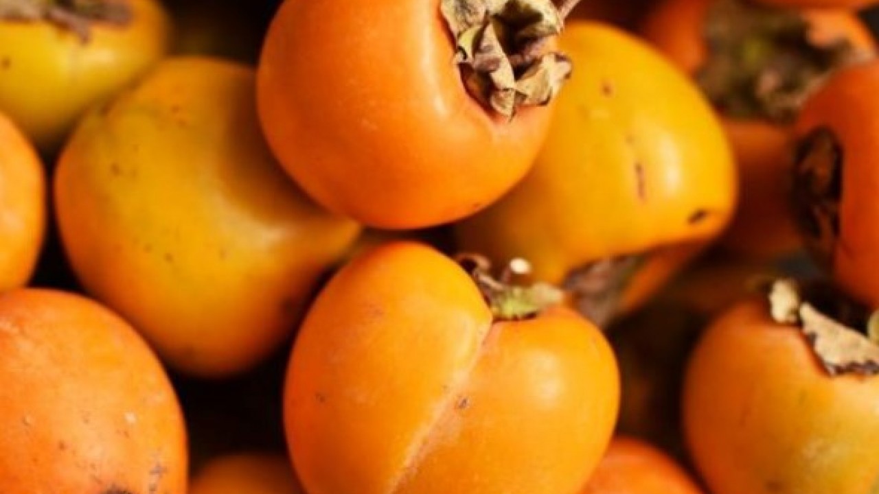 Foto - Diyabet hastalarının dikkatine! İşte cennet hurmasının bilinmeyen etkisi