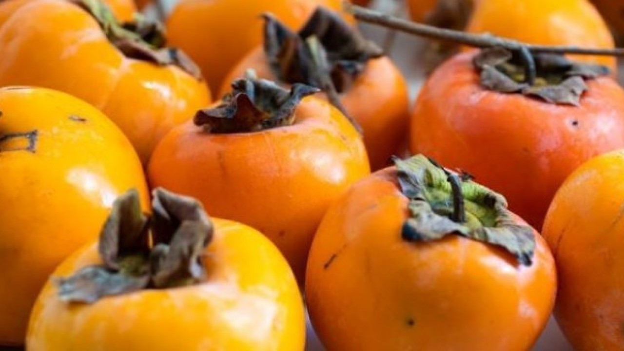 Foto - Diyabet hastalarının dikkatine! İşte cennet hurmasının bilinmeyen etkisi