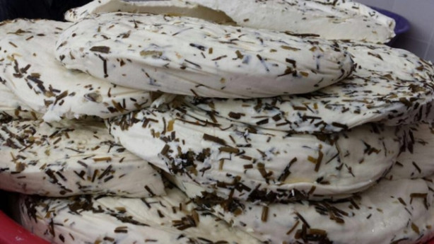 Foto - Diyabet hastalığının şifası otlu peynirde!