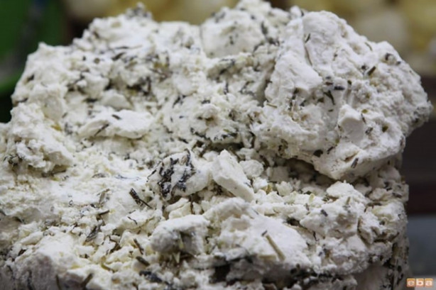 Foto - Diyabet hastalığının şifası otlu peynirde!