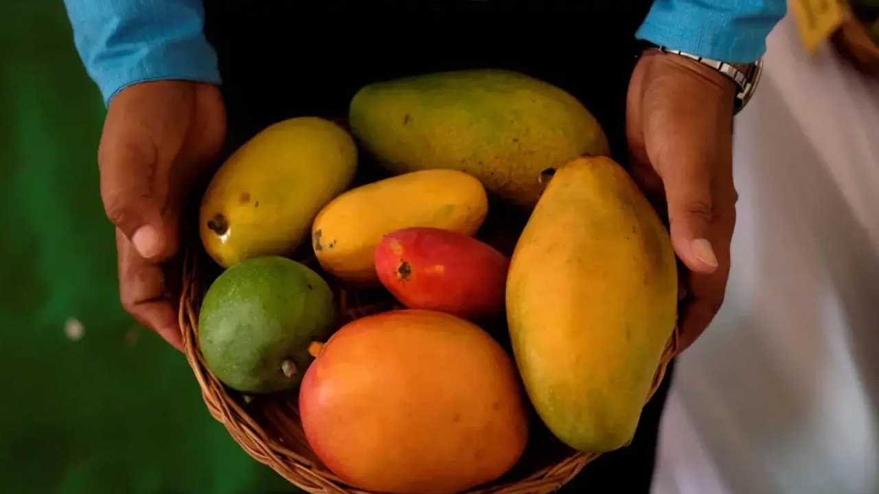 Foto - Diyabete karşı beklenmedik silah etkisi: Hindistan tespit yaptı! İnanılmaz keşif herkes şaştı kaldı
