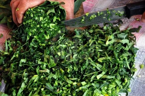 Foto - Diyabeti olanlar bu bitkiden vazgeçemiyor! Kullanan övmeye doyamıyor