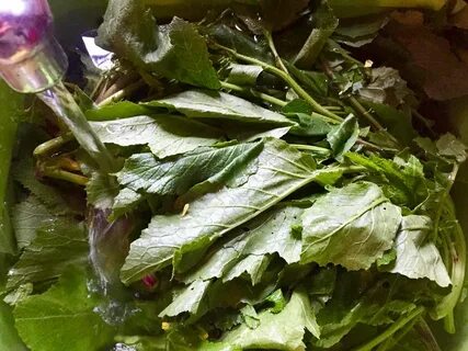 Foto - Diyabeti olanlar bu bitkiden vazgeçemiyor! Kullanan övmeye doyamıyor