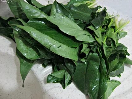 Foto - Diyabeti olanlar bu bitkiden vazgeçemiyor! Kullanan övmeye doyamıyor