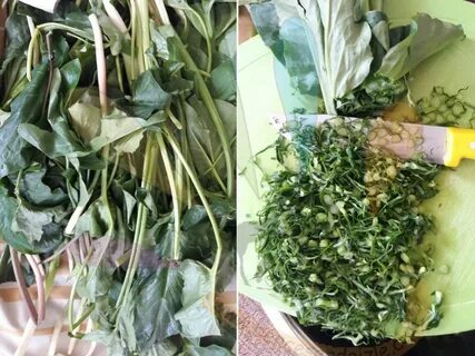 Foto - Diyabeti olanlar bu bitkiden vazgeçemiyor! Kullanan övmeye doyamıyor