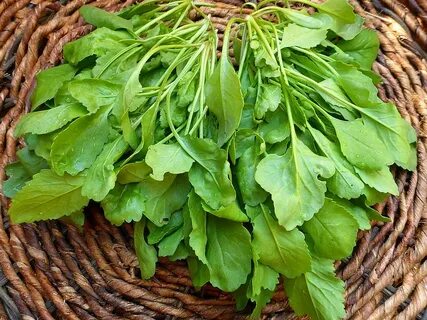 Foto - Diyabeti olanlar bu bitkiden vazgeçemiyor! Kullanan övmeye doyamıyor