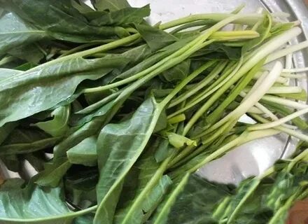 Foto - Diyabeti olanlar bu bitkiden vazgeçemiyor! Kullanan övmeye doyamıyor