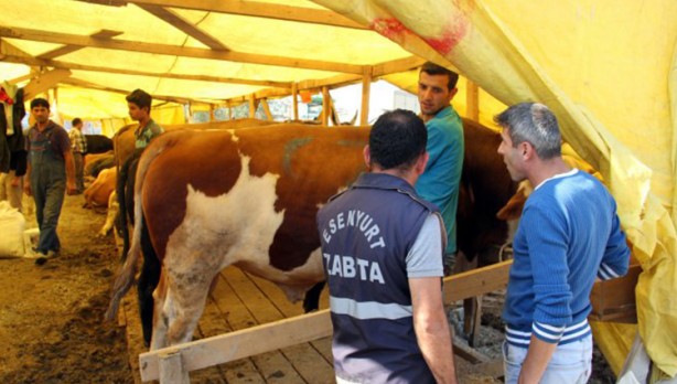 Foto - Diyanet açıkladı! Bir kurbana en fazla kaç kişi ortak olabilir?