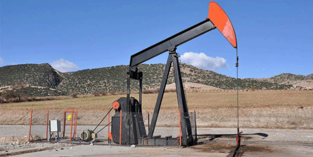 Diyarbakır ve Batman'da petrol heyecanı! Resmi Gazete'de yayımlandı