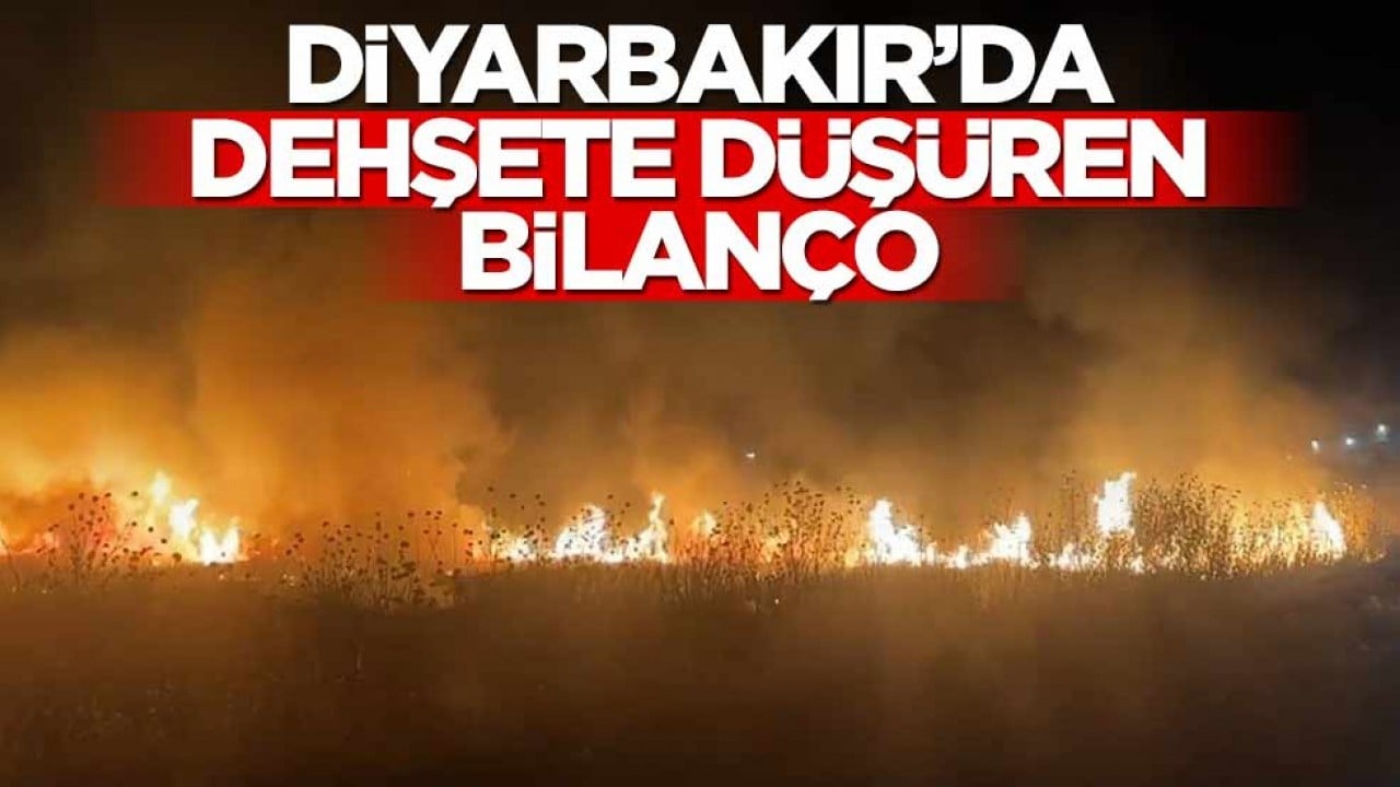 Diyarbakır'da dehşete düşüren bilanço