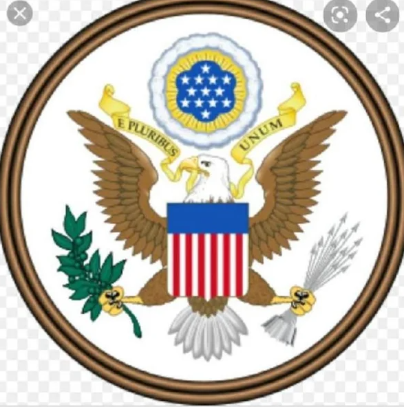 Foto - Diyarbakır'da gizemli ABD rozeti bulundu! Üzerindeki yazı şaşırttı