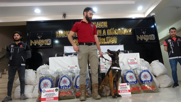 Foto - Diyarbakır’da 'Kökünü Kurutma Operasyonu'nda 133 tutuklama