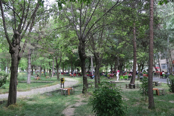 Foto - Diyarbakır'da korkutan tablo! Avrupa normlarının çok üstünde