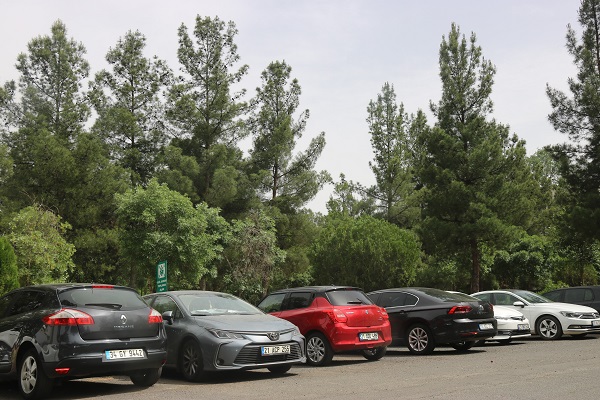 Foto - Diyarbakır'da korkutan tablo! Avrupa normlarının çok üstünde