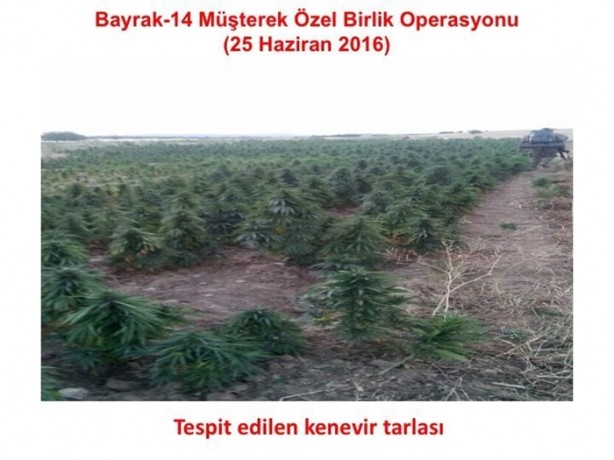Foto - Diyarbakır'da nefes kesen operasyon