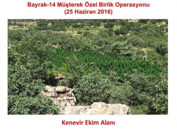 Foto - Diyarbakır'da nefes kesen operasyon
