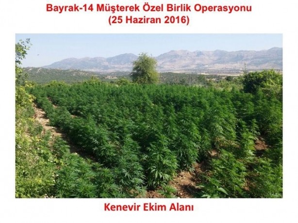 Foto - Diyarbakır'da nefes kesen operasyon